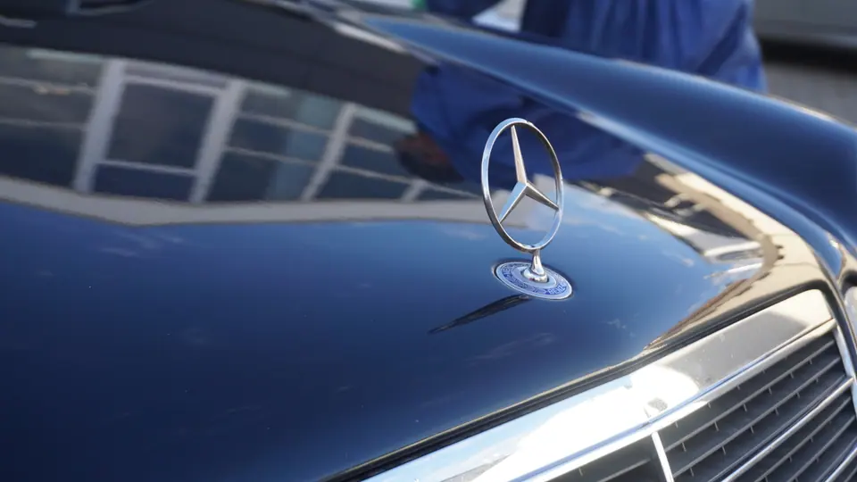 Mercedes Stern